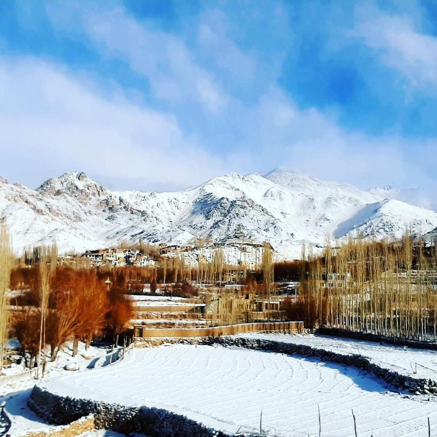 Ladakh Country Inn Лех Экстерьер фото