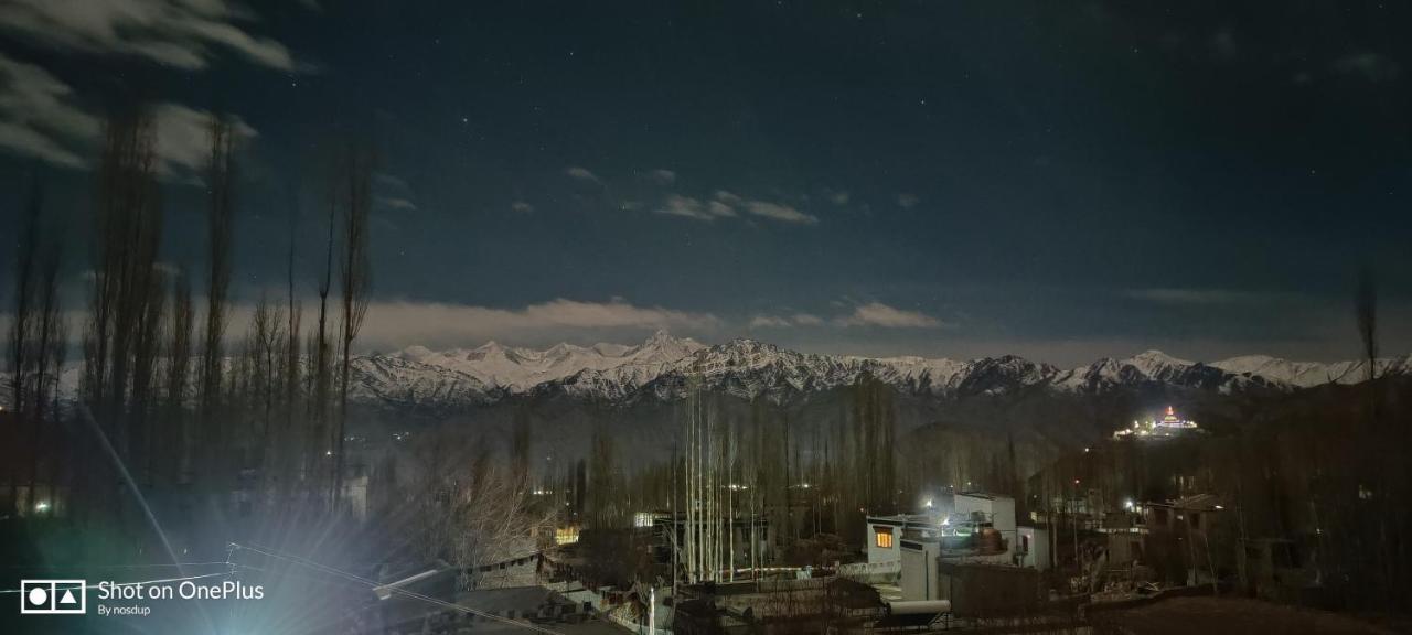 Ladakh Country Inn Лех Экстерьер фото