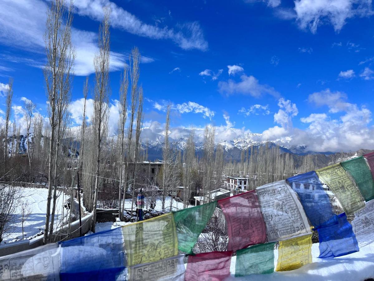 Ladakh Country Inn Лех Экстерьер фото